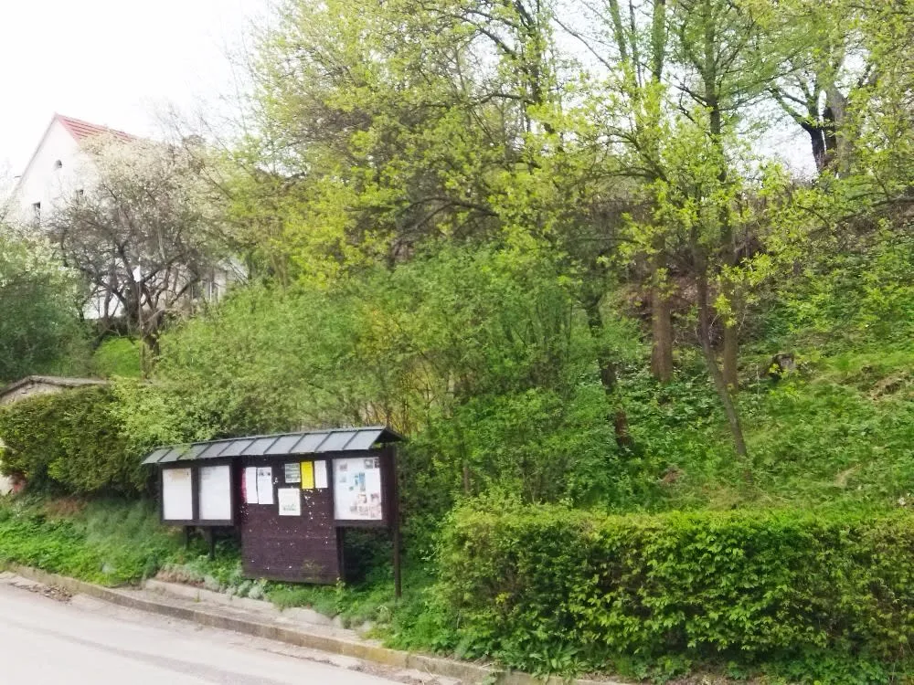 Před rekultivací